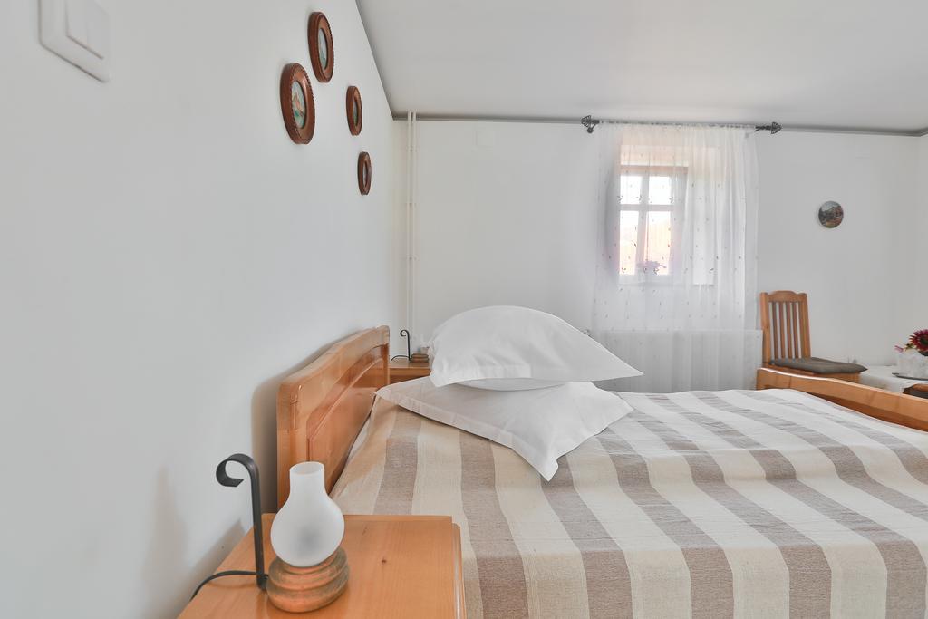 Pensiunea Casa Canda Salasu de Sus Room photo