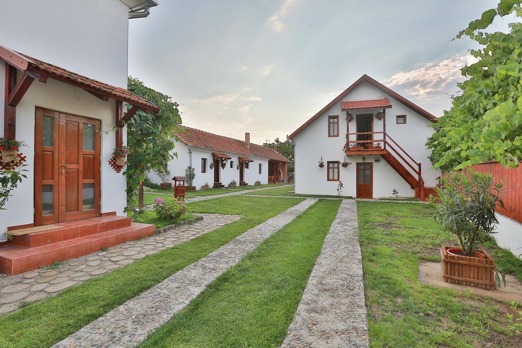 Pensiunea Casa Canda Salasu de Sus Exterior photo